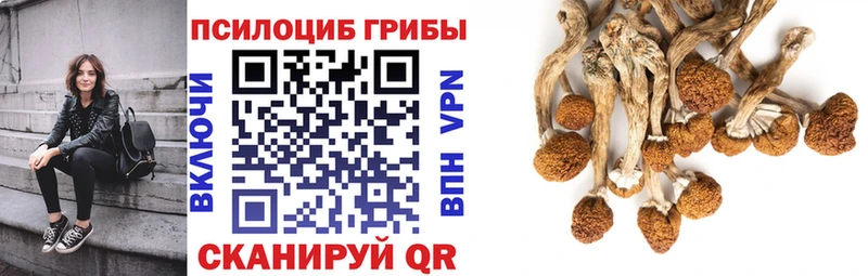 Галлюциногенные грибы Cubensis  нарко площадка клад  Ковдор 